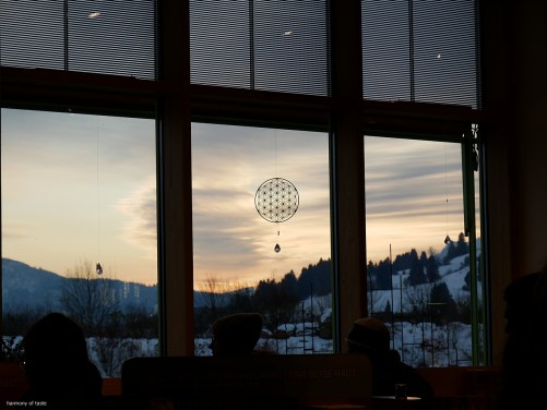 Primavera Advent 2017 11