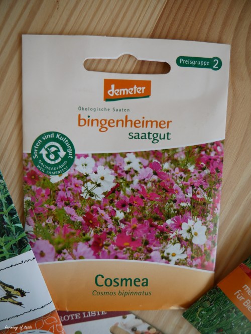 bufet dla pszczol 1.JPG