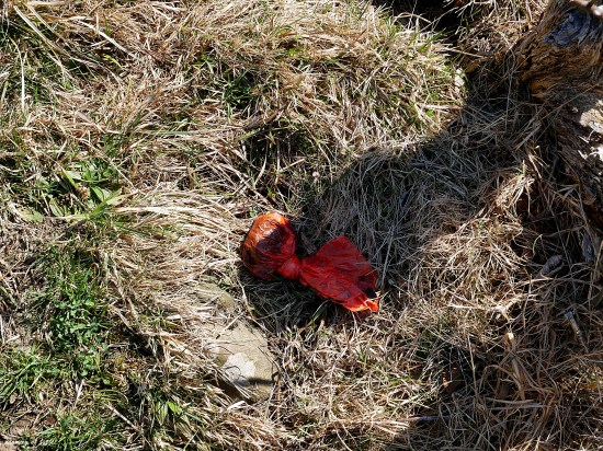 Oberstdorf plastik 2
