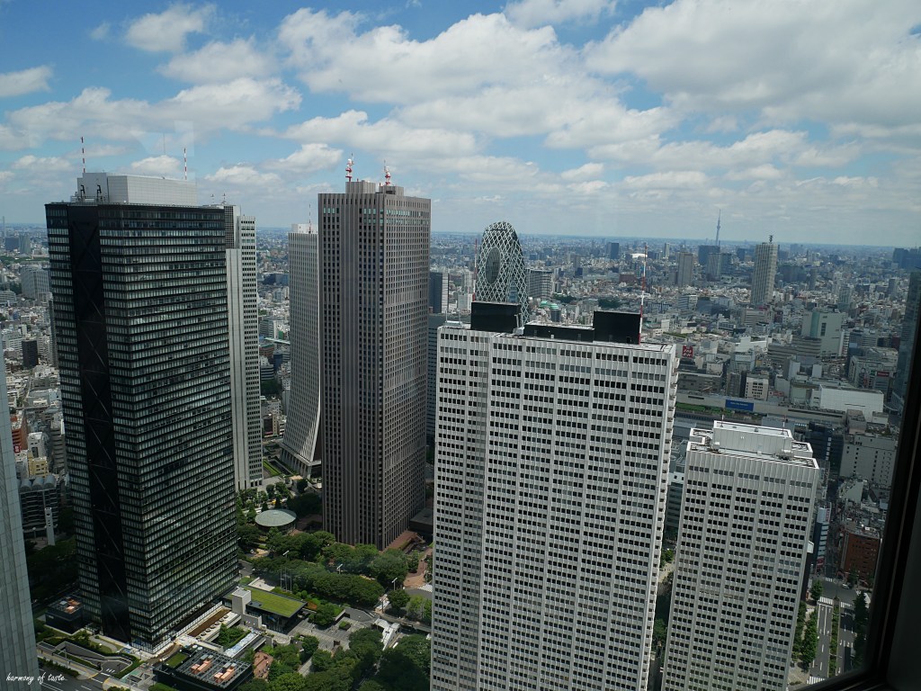 Tokyo View