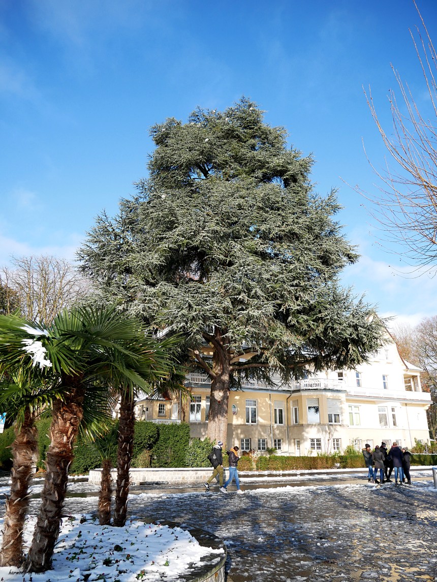 winter in konstanz 2