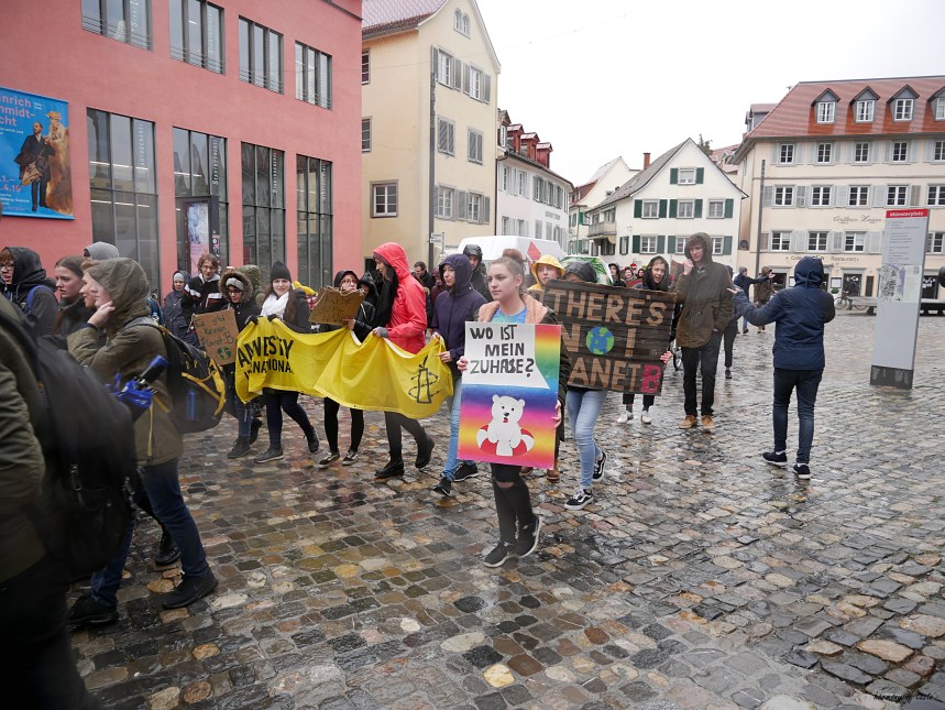 FridaysforFuture 12.JPG