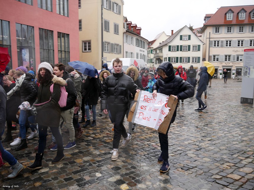 FridaysforFuture 16.JPG