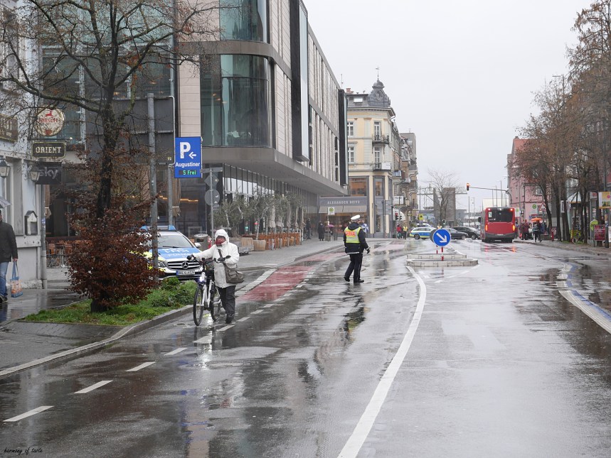FridaysforFuture 17.JPG