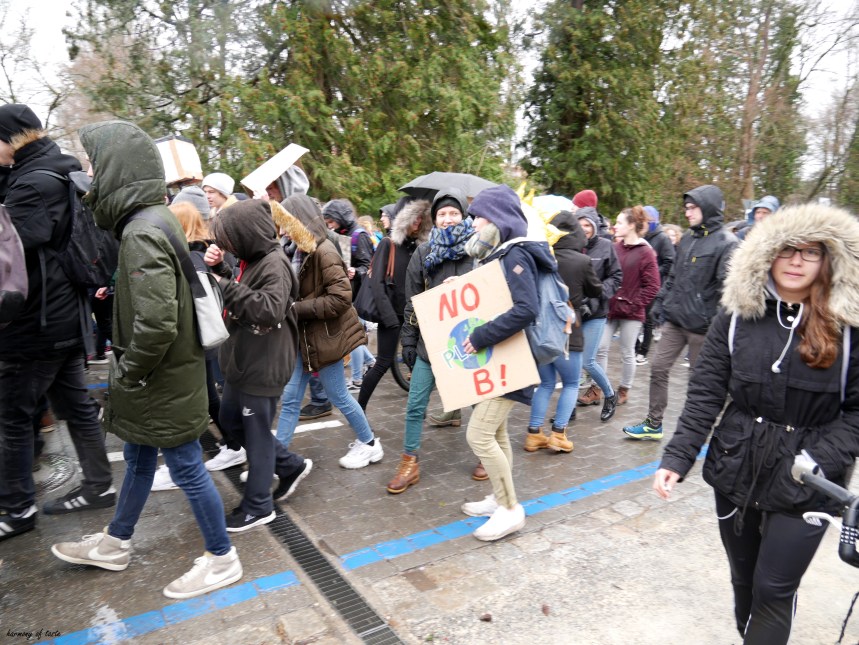 FridaysforFuture 2