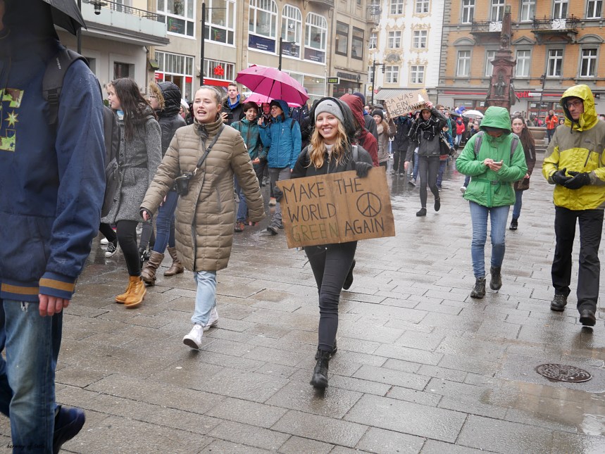 FridaysforFuture 20