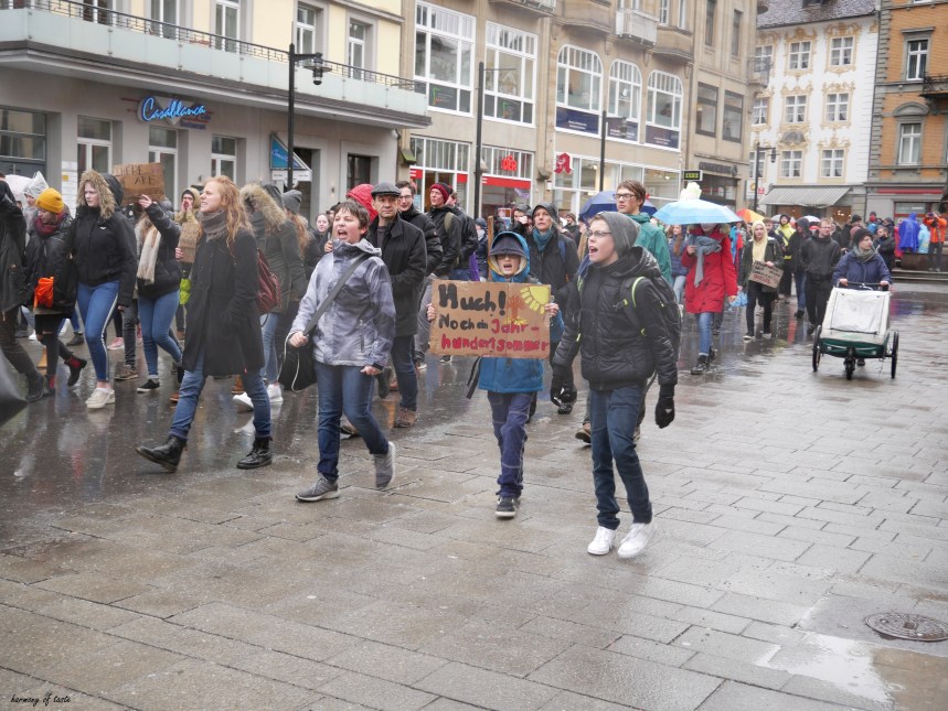 FridaysforFuture 22