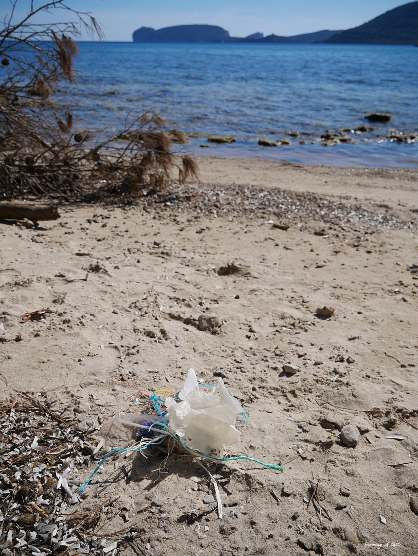 Sardynia i smiecie 4.JPG