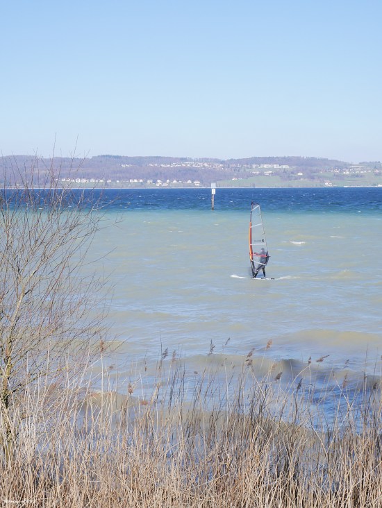 constance lake surfer