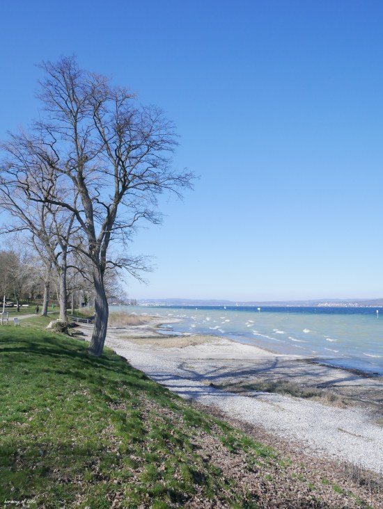 constance lake water front