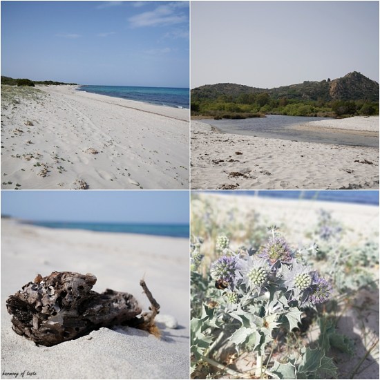 Sardinia 1mix